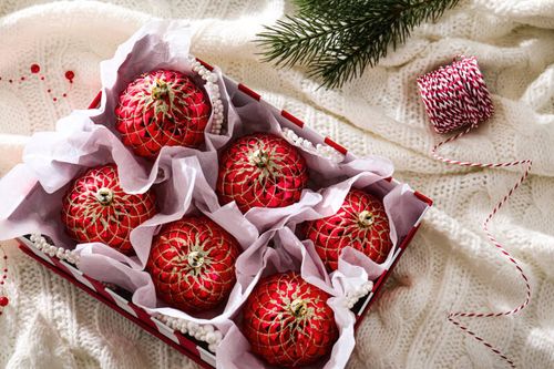 🫅 Weihnachtsschmuckbörse • Pro Junior